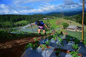 BIB: 
                            <button type="button" onclick="openModal(13381754)" class="btn btn-primary btn-sm float-right btn-popup" data-toggle="modal" data-target=".modal-high-quality">
                        <i class="fas fa-shopping-cart"></i> Add to Cart
                    </button>
                                            <button type="button" onclick="isThisMe(13381754, true)" class="btn btn-success btn-sm float-right btn-popup btn-isme hidden" data-toggle="tooltip" data-placement="bottom" title="นี่คือรูปของคุณใช่ไหม คลิกที่นี่เพื่อเอาเข้าอัลบั้ม">
                        <i class="fas fa-plus"></i> Add to album
                    </button>
                    <button type="button" onclick="isThisMe(13381754, false)" class="btn btn-warning btn-sm float-right btn-popup btn-isnotme hidden">
                        <i class="fas fa-ban"></i> Remove from album
                    </button>